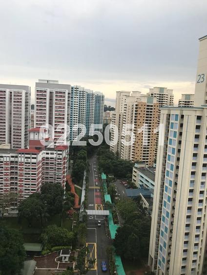 Central Green Condominium (D3), Condominium #162926042